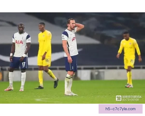 梅努战热刺进攻三区33传最多